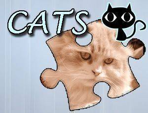 Cat Portrait Puzzle Collection
