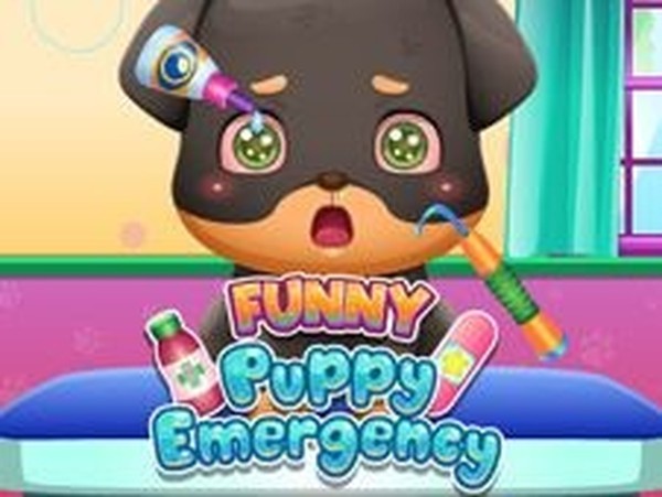 Puppy Wellness & Dress-Up Fun