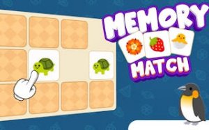 Memory Match Challenge