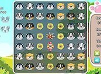 Puppy Match Puzzle