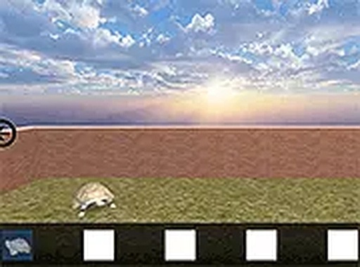 Escape from the House with Turtles Puzzle Game
