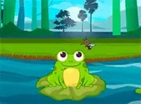 Marsh Leap Bug Catcher